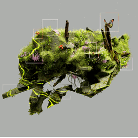 AI Solution Customization