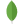 MongoDB