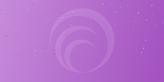 Rapidops Honored as a Top Software Development Company in the USA by Techreviewer.co